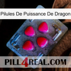 Dragon Power Pills 13